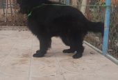 photo24134181080