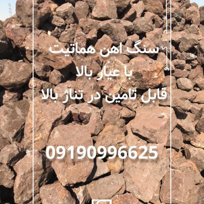 1000375248