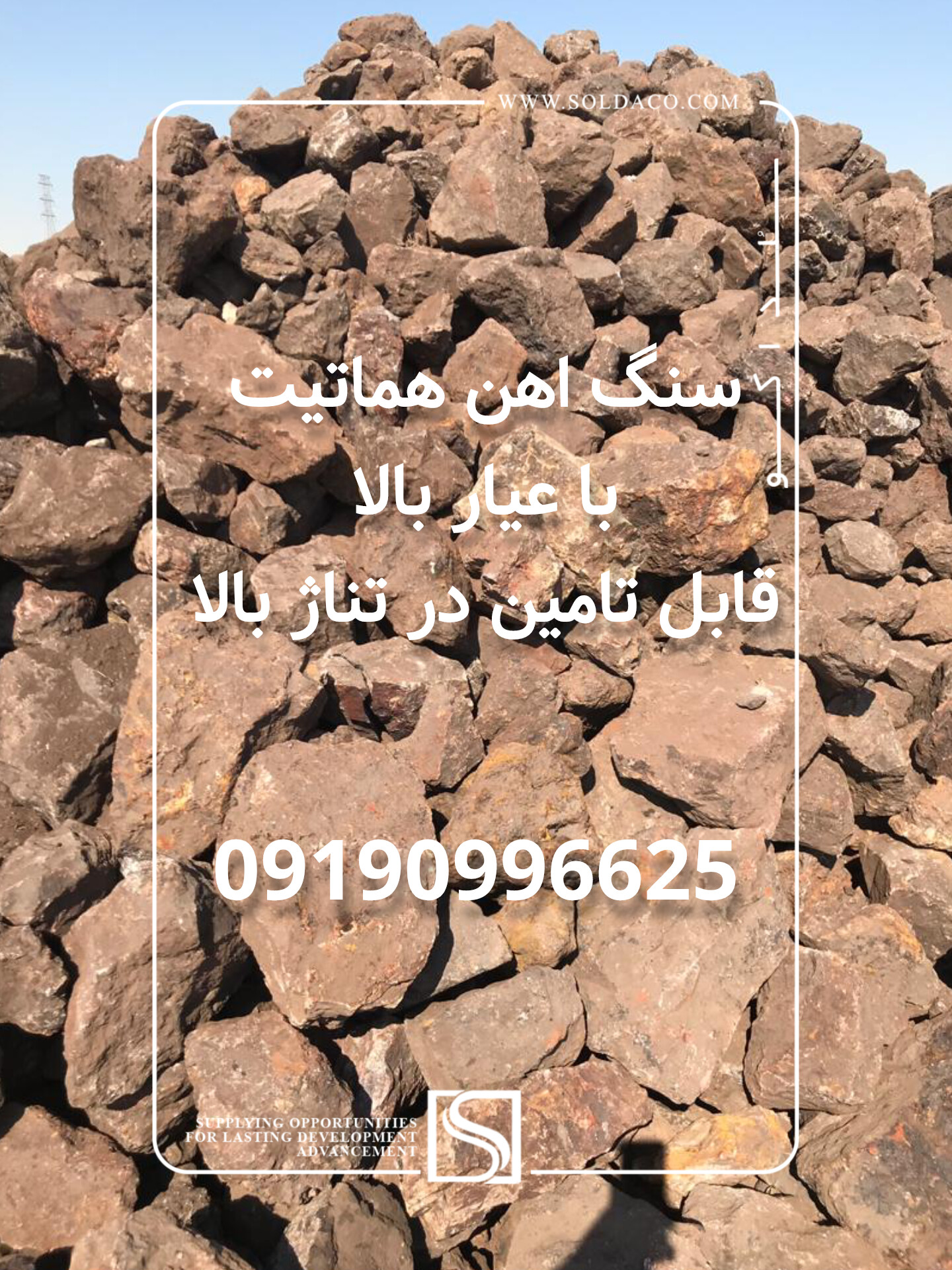1000375248