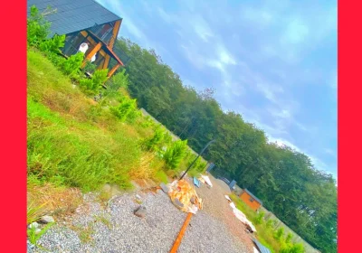 1b77e26d-7fba-40a4-b638-caa043c0675c