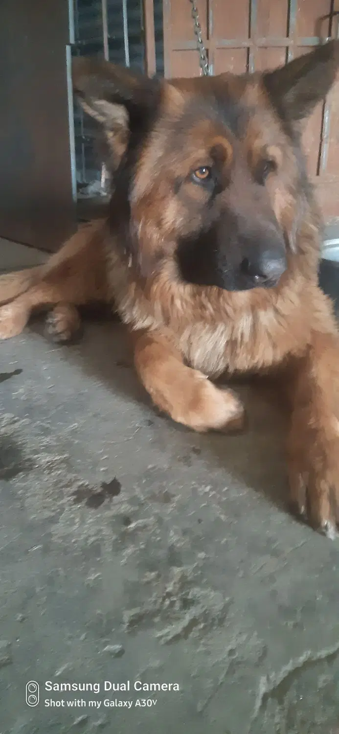 3-24