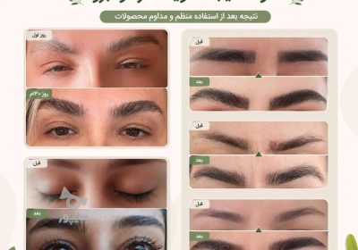 464752706_21e8e18d3c49811dadabad974df585f4-1