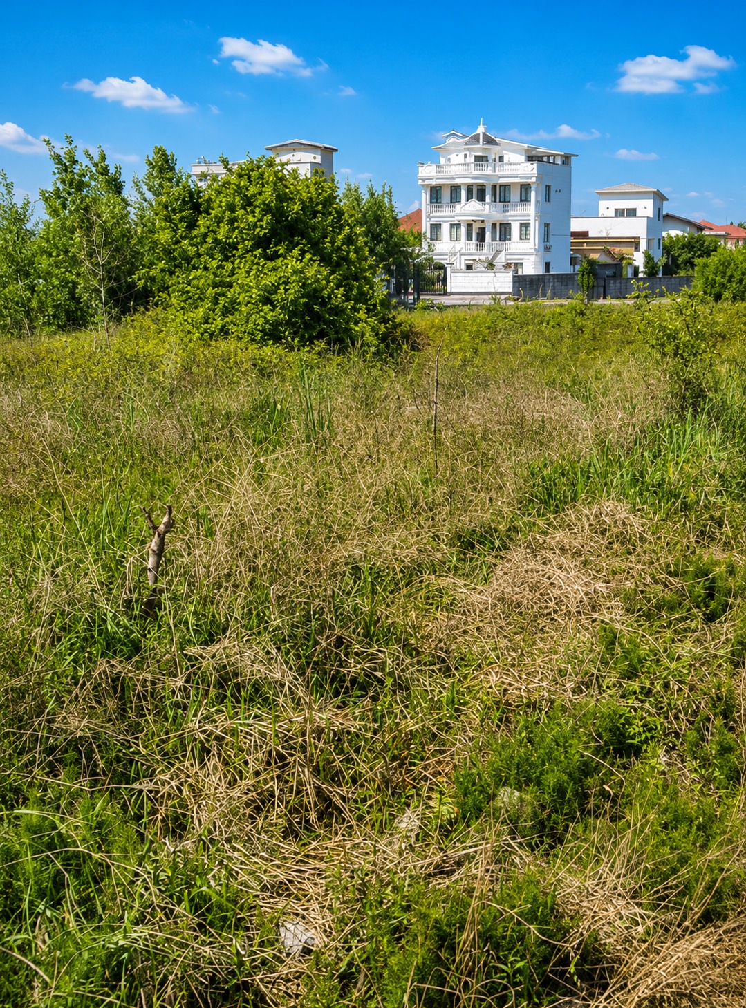 D4938614-C2DB-4DD6-AEA0-4E4EC9DF6481.png
