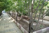 IMG_20260610_103337_255