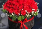IMG_20260627_170534