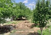 باغ-ویلا-2