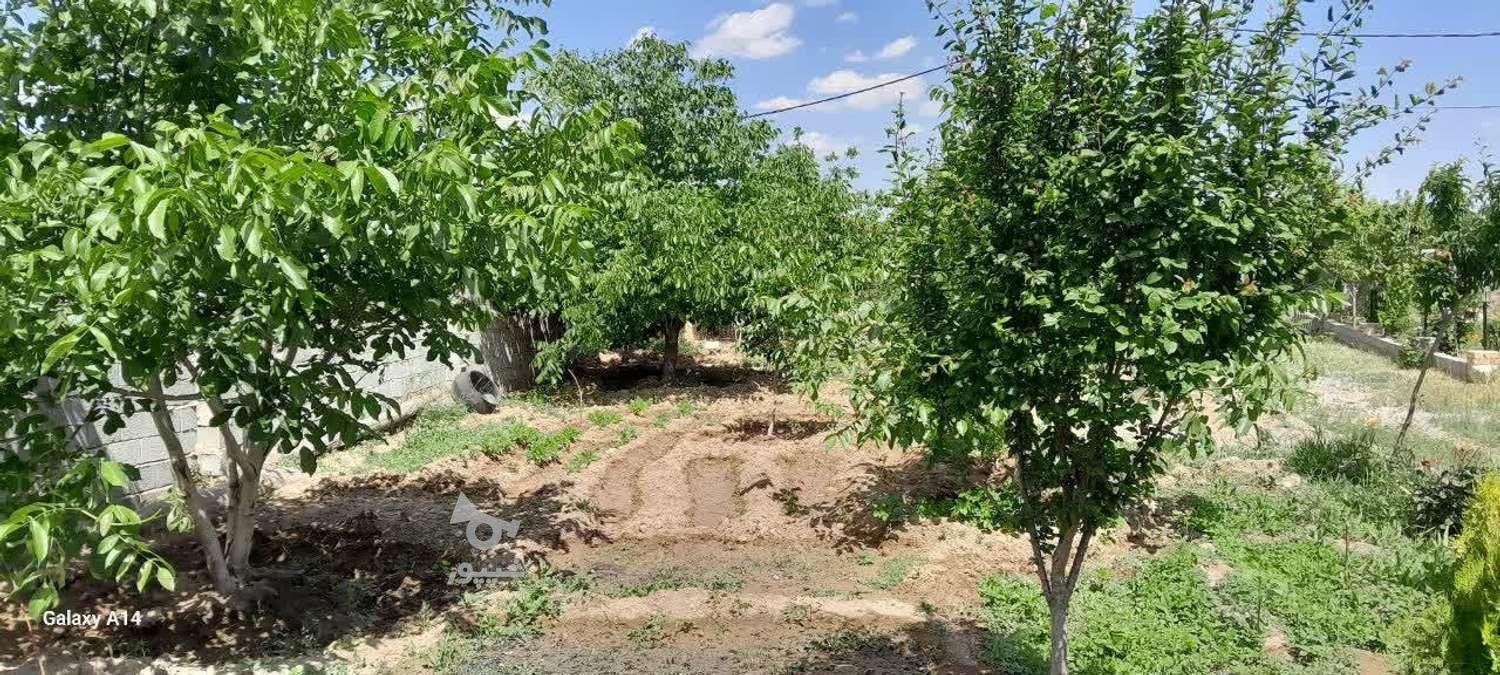 باغ-ویلا-2