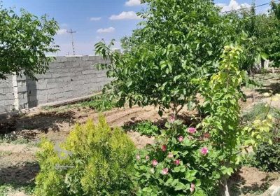 باغ-ویلا