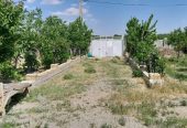 باغ-ویلا-5