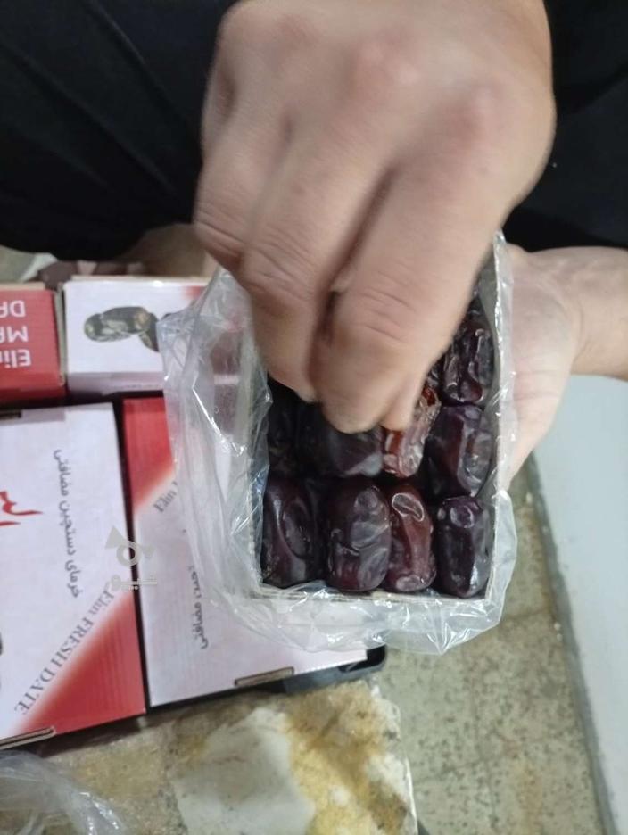 خرما2