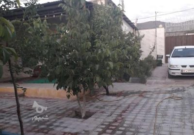 روسنا