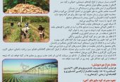 کود3